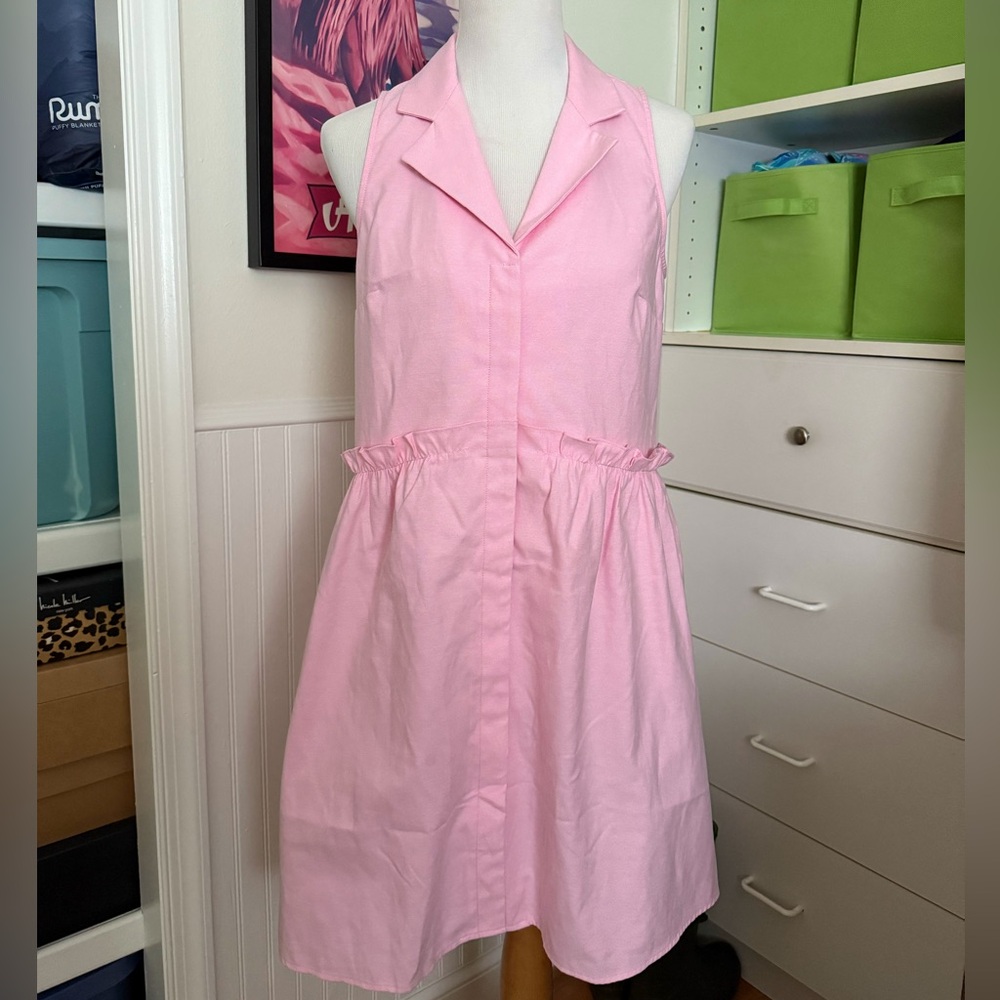 Tuckernuck Pink Oxford Royal Shirt Dress